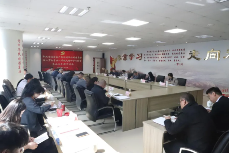 省热博RB88集团党委召开深入贯彻中央八项规定精神学习教育第二次专题研讨会