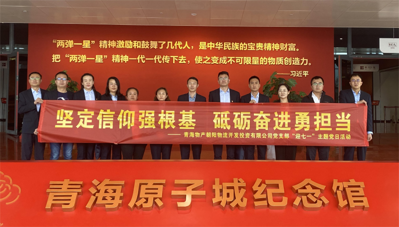 坚定信仰强根基，，，，，砥砺奋进勇担当 朝物开投公司党支部开展迎“七一”主题党日活动