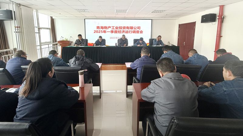热博RB88工投公司召开2025年第一季度经济运行调度会