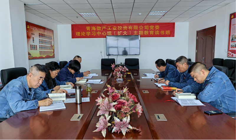 热博RB88工投公司党委举办理论学习中心组（扩大）主题教育读书班