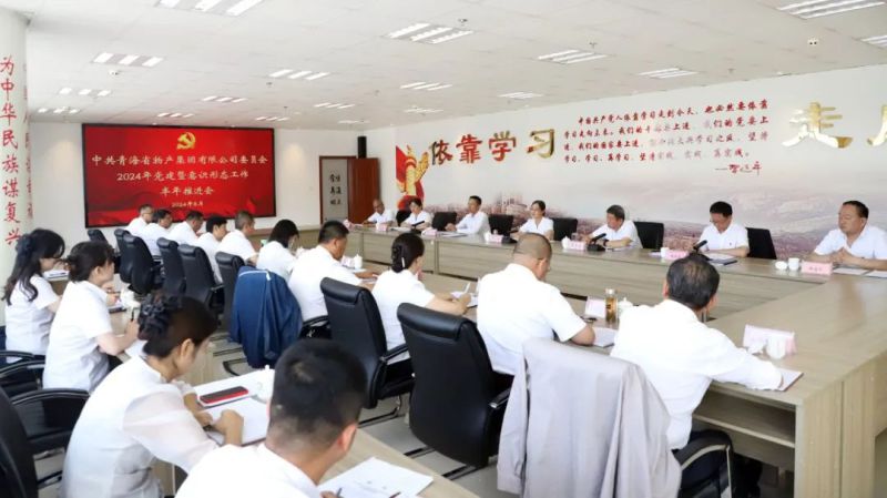 省热博RB88集团党委召开2024年党建暨意识形态工作半年推进会