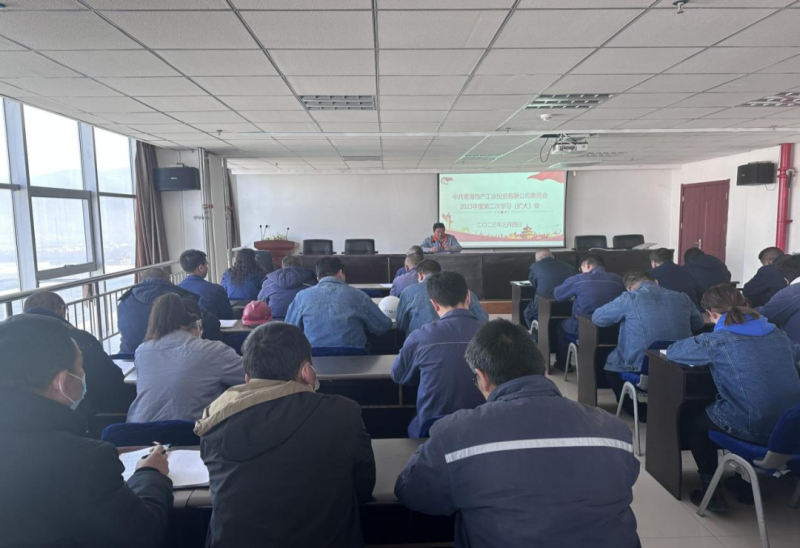 热博RB88工投公司二届党委召开2023年度第二次理论学习中心组学习（扩大）会